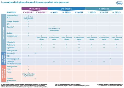 gtpav|LE SUIVI DE GROSSESSE.